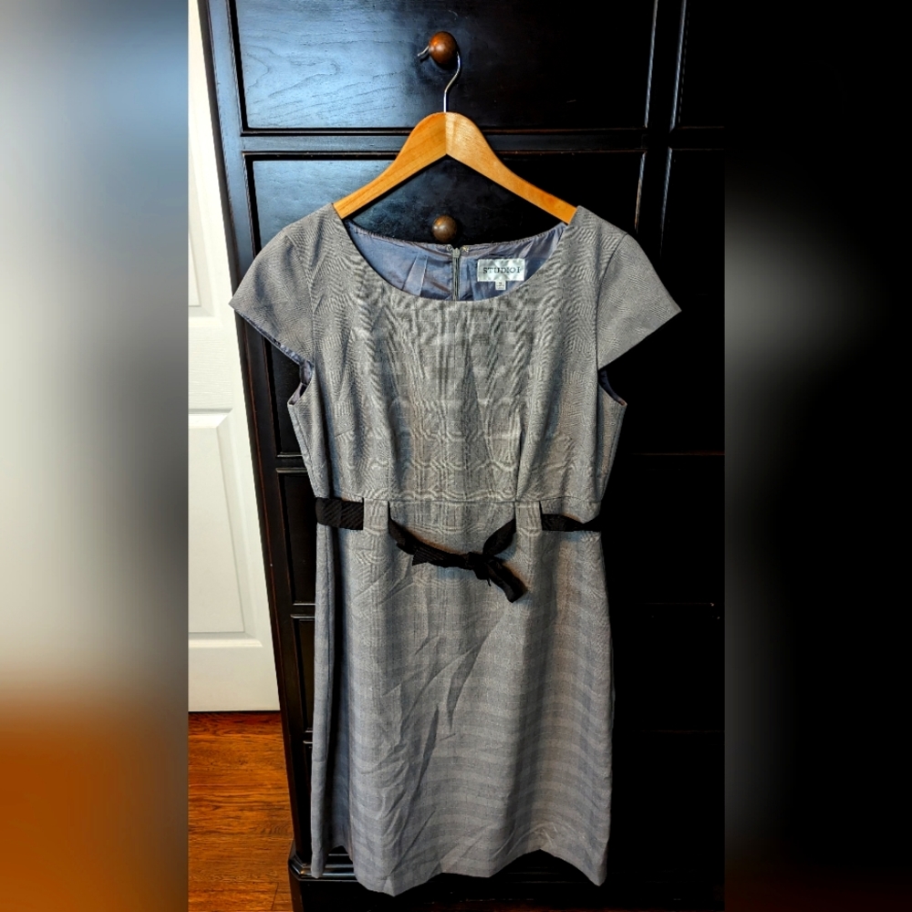 Fitted Sheath Women's Dress